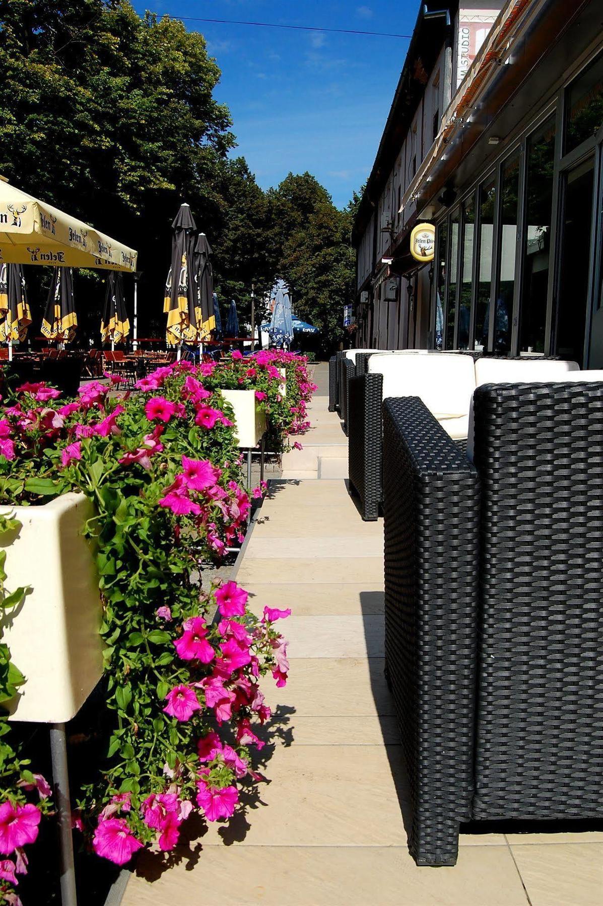 Hotel Tiski Cvet Novi Bečej Dış mekan fotoğraf